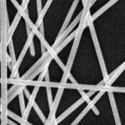 Диаметър/ дължина тел от нано сребро: 30 нм/100 микрона 0,5 г